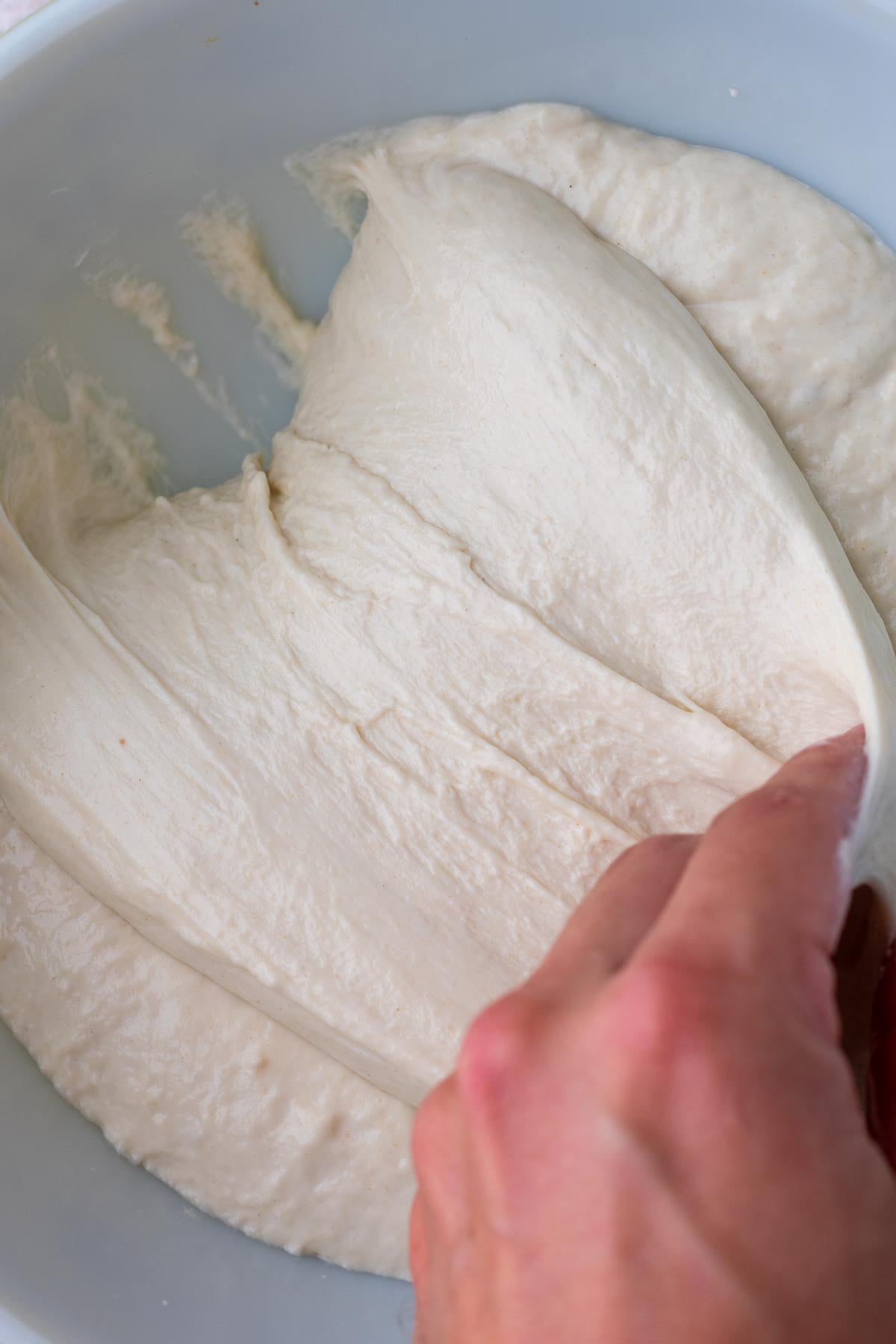 Hand folding sourdough pizza al taglio dough in bowl.
