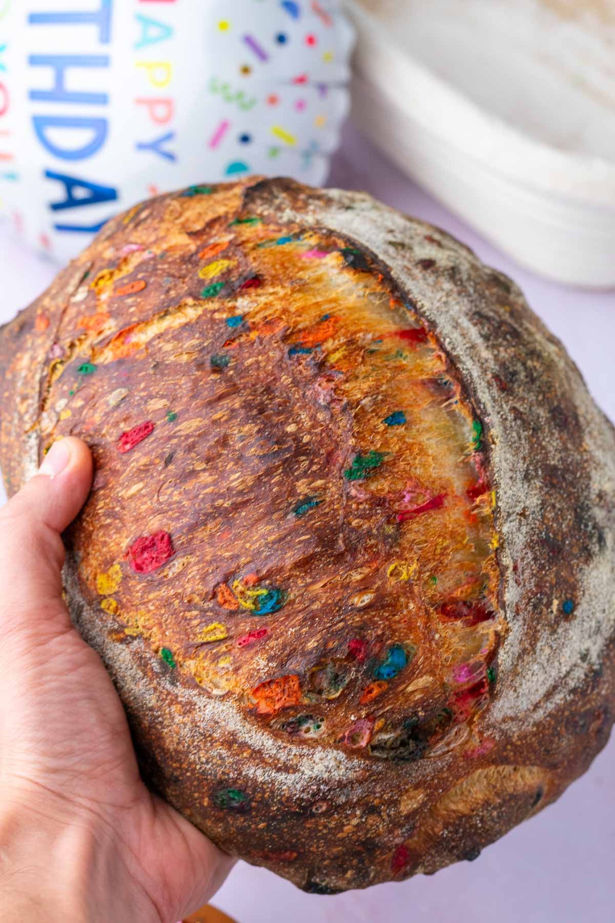 Hand holding a loaf of funfetti sourdough bread.