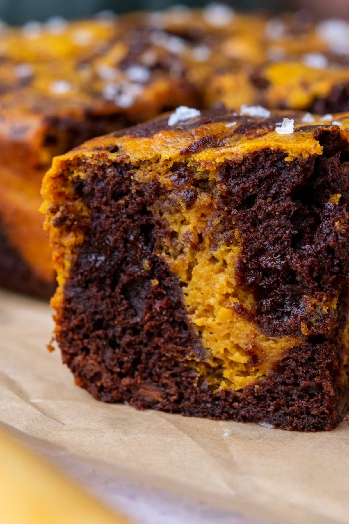 Close up of a fudgy sourdough pumpkin brownie with a pumpkin cream cheese swirl in the middle.