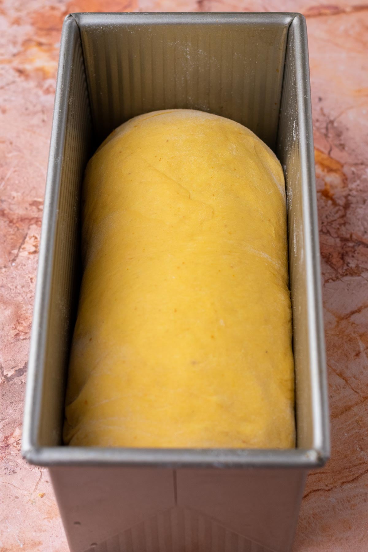 sourdough pumpkin cinnamon swirl bread in bread loaf pan at the start of final proofing.