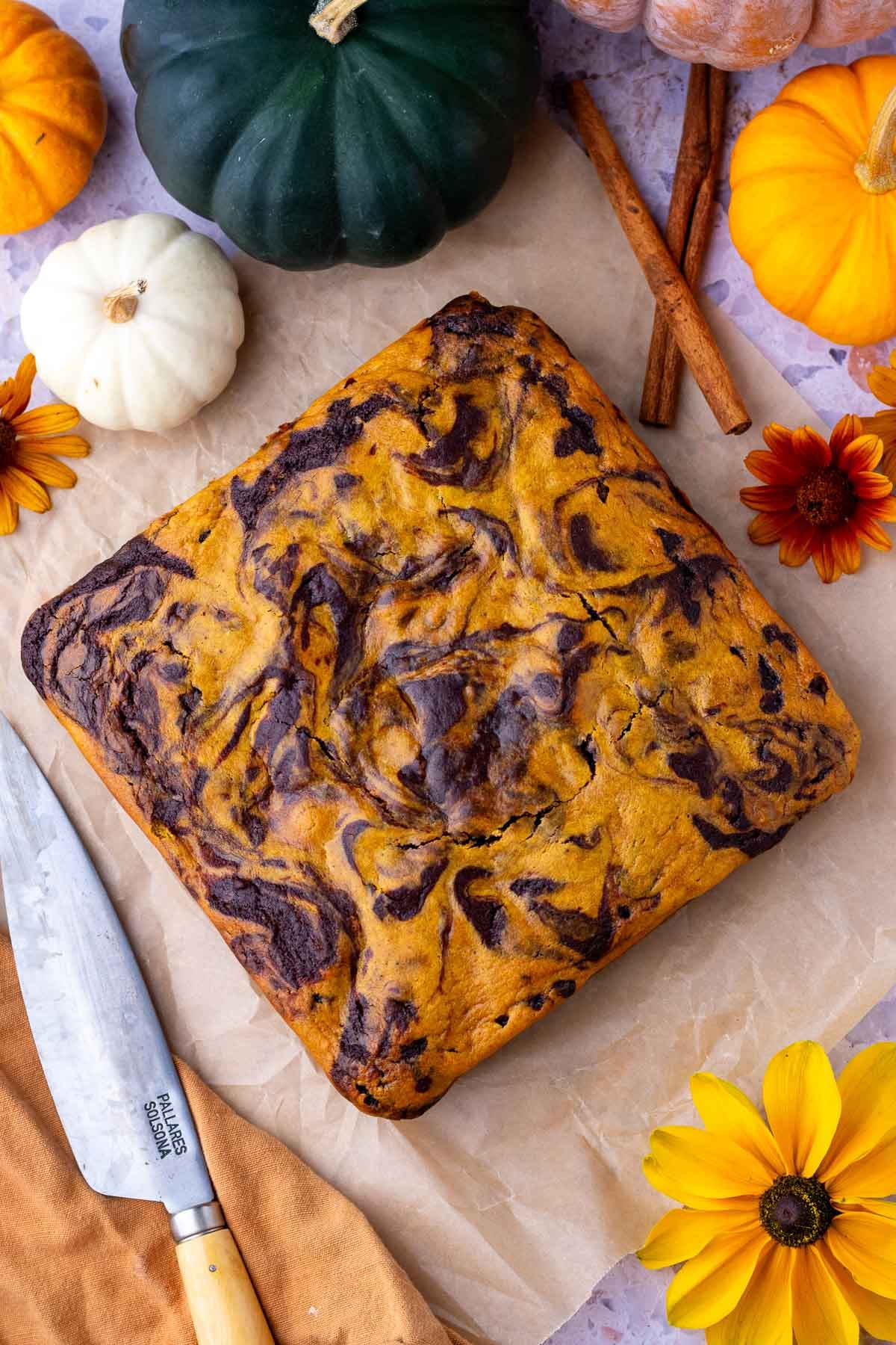 Baked sourdough pumpkin swirl brownies on parchment paper surrounded by pumpkins, cinnamon sticks, flowers, and a knife.