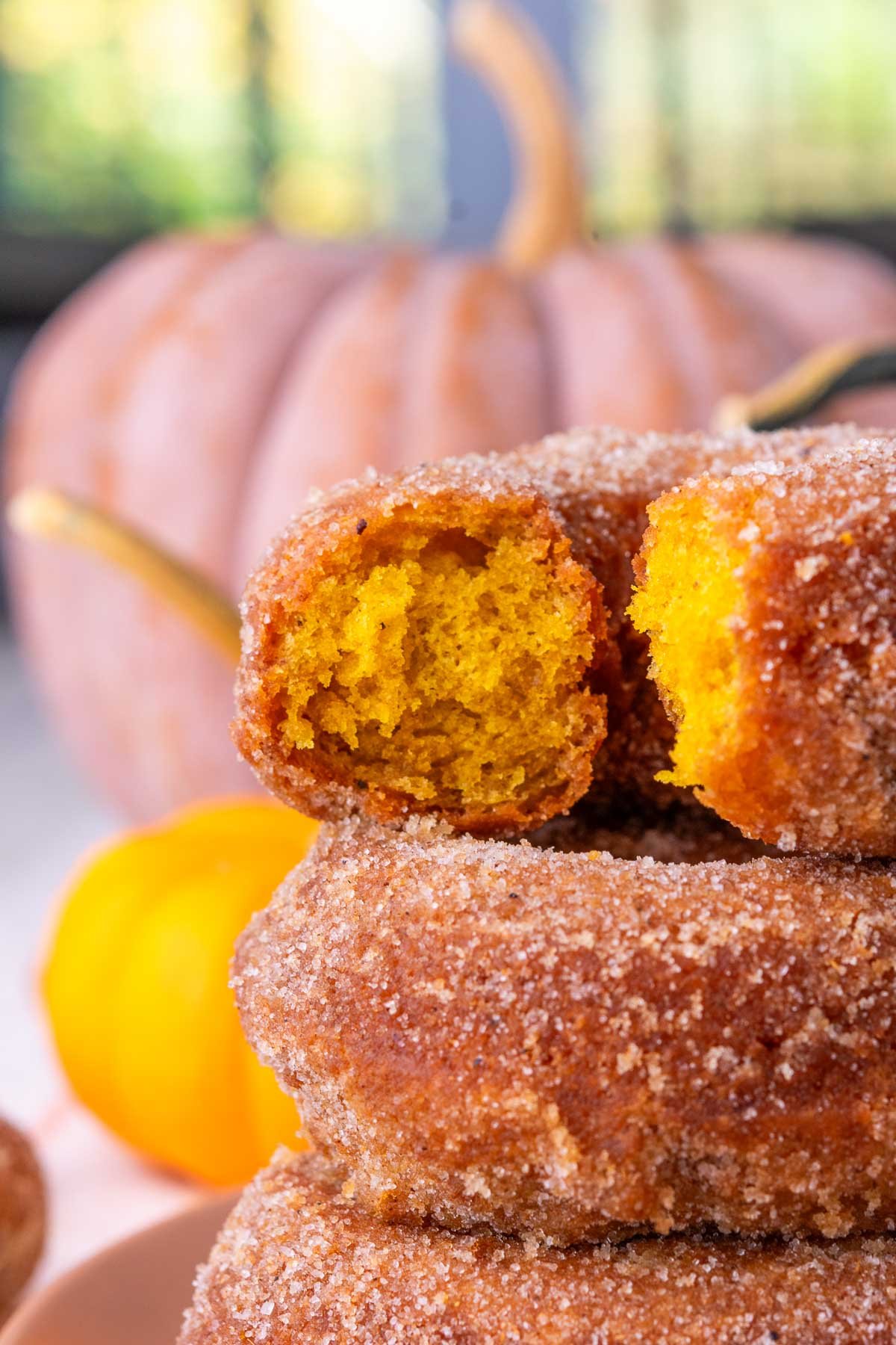 Stack of sourdough pumpkin donuts and close up of a bite taken out of the top one with pumpkins in the background.