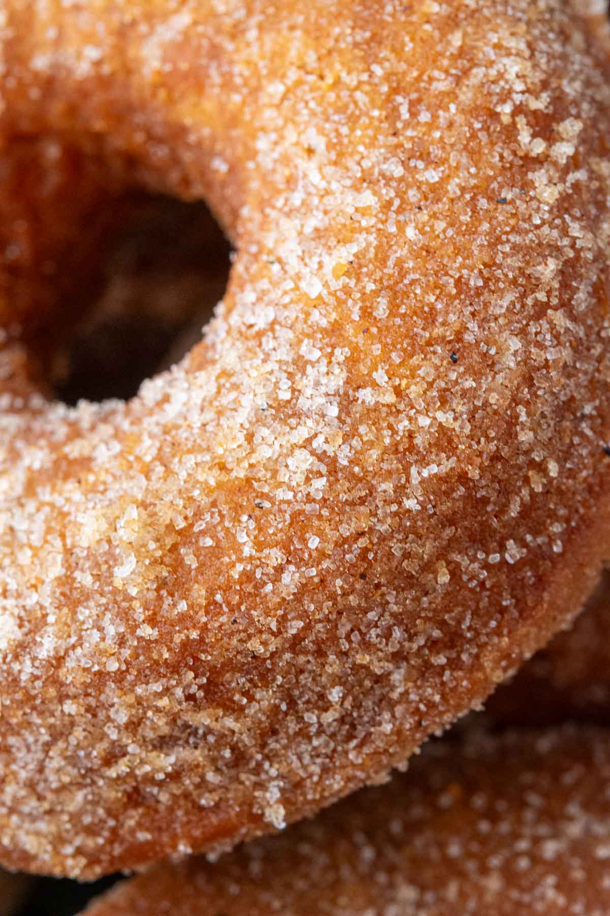 Close up of a sourdough pumpkin donuts with pumpkin spice sugar.