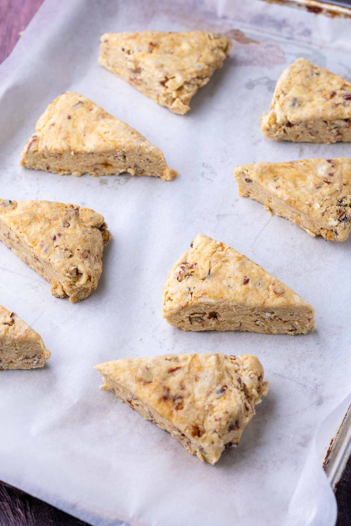 Unbaked sourdough maple pecan scones cut out on a sheet pan.