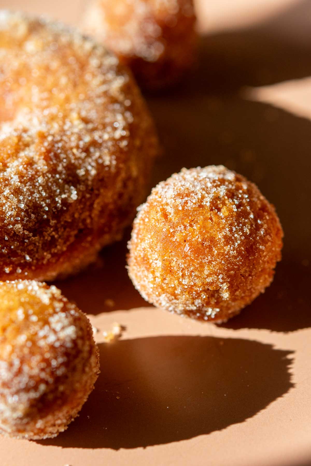 Sourdough Pumpkin Donut Holes.