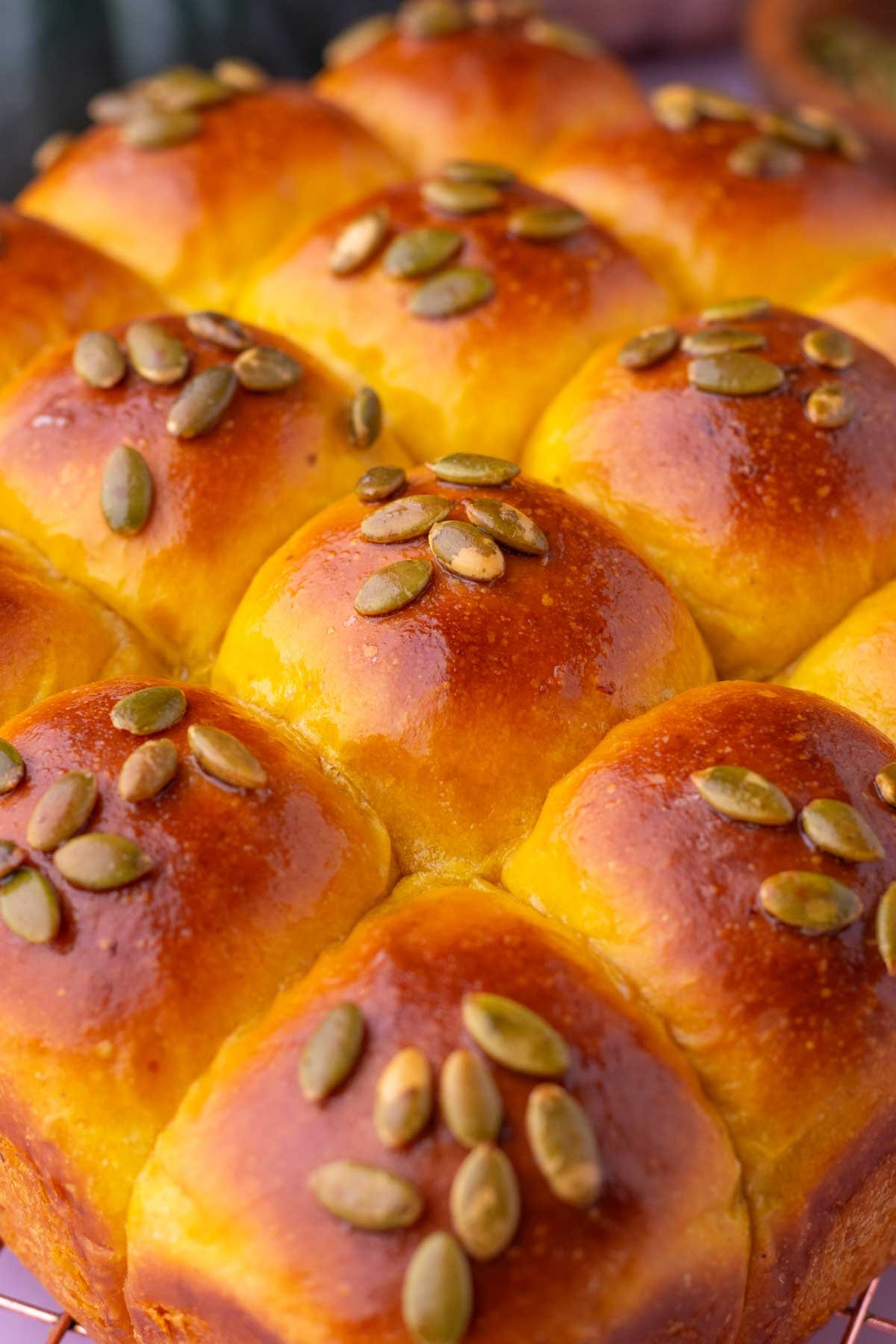 Baked sourdough pumpkin dinner rolls topped with pumpkin seeds.