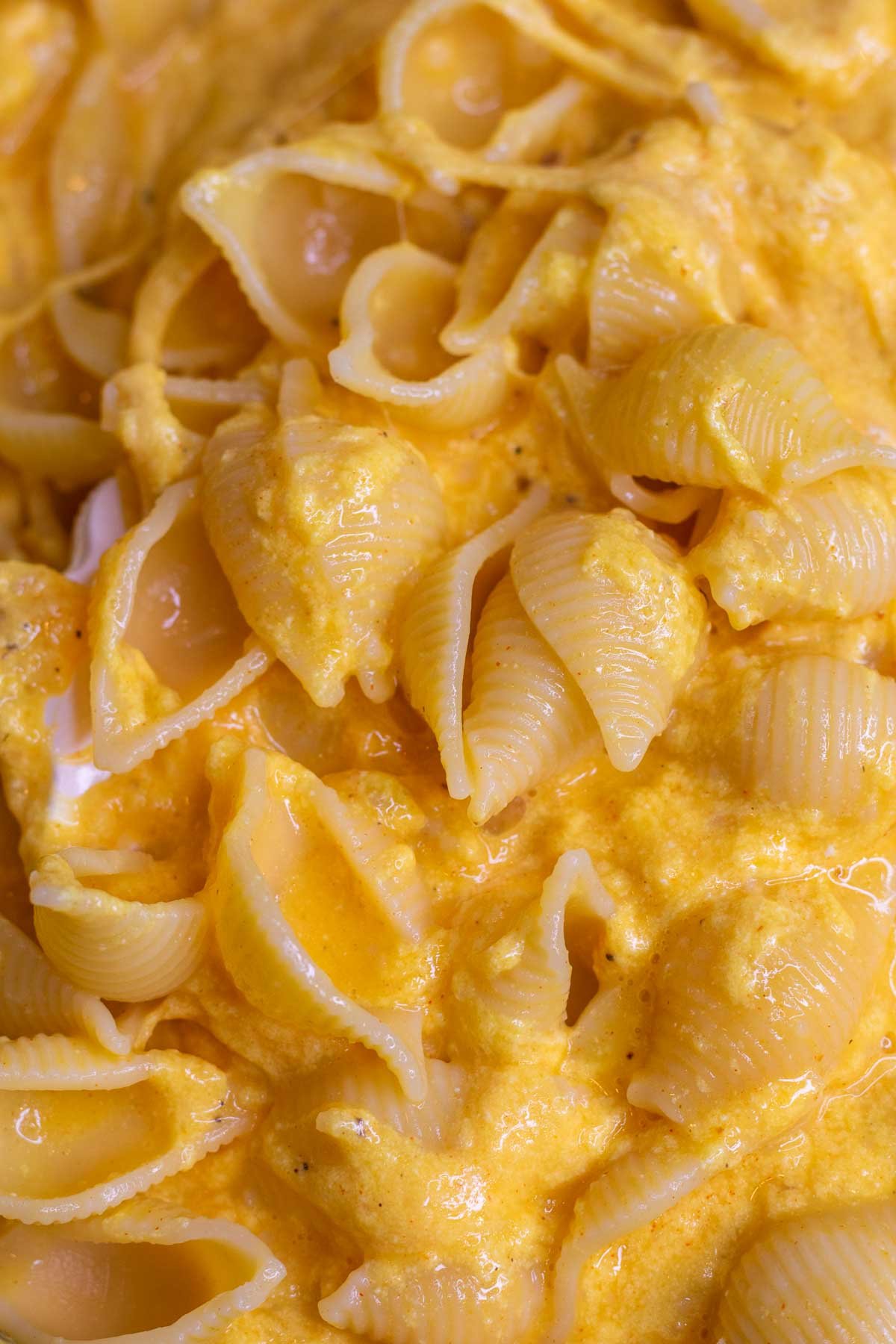 Close up of cheesy sourdough mac and cheese.