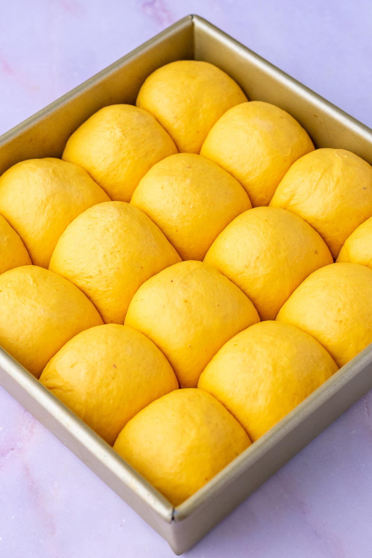 Proofed sourdough pumpkin dinner rolls in pan.