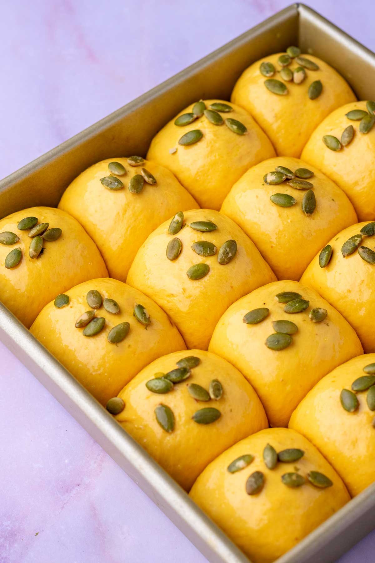 Unbaked sourdough pumpkin dinner rolls in a pan.