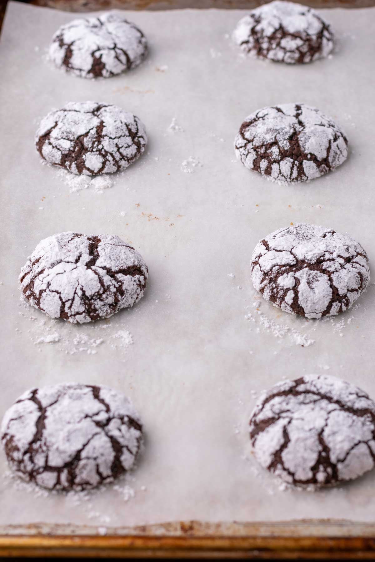 Baked sourdough chocolate crinkle cookies on a baking sheet.