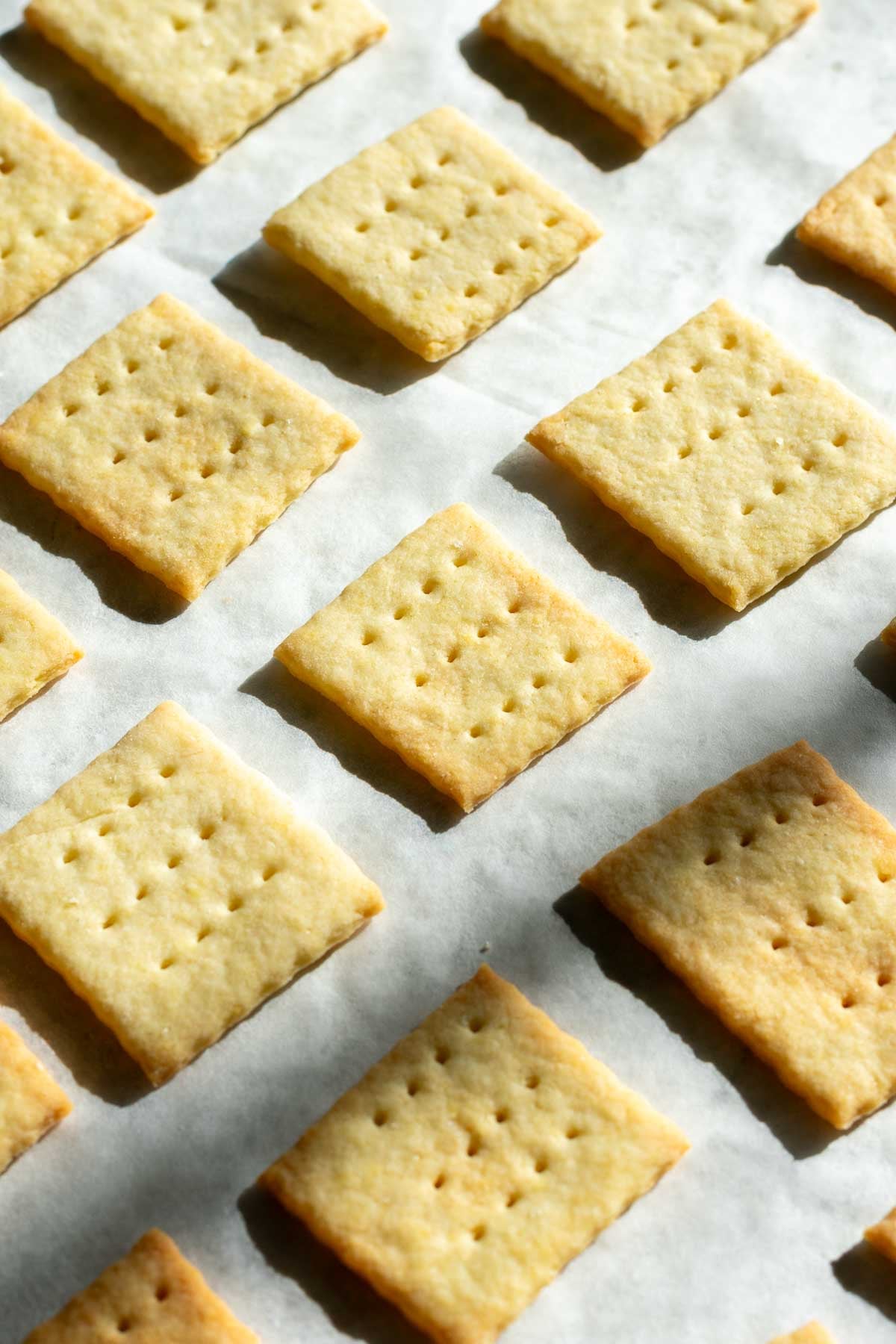 Baked Sourdough Butter Crackers in natural light.