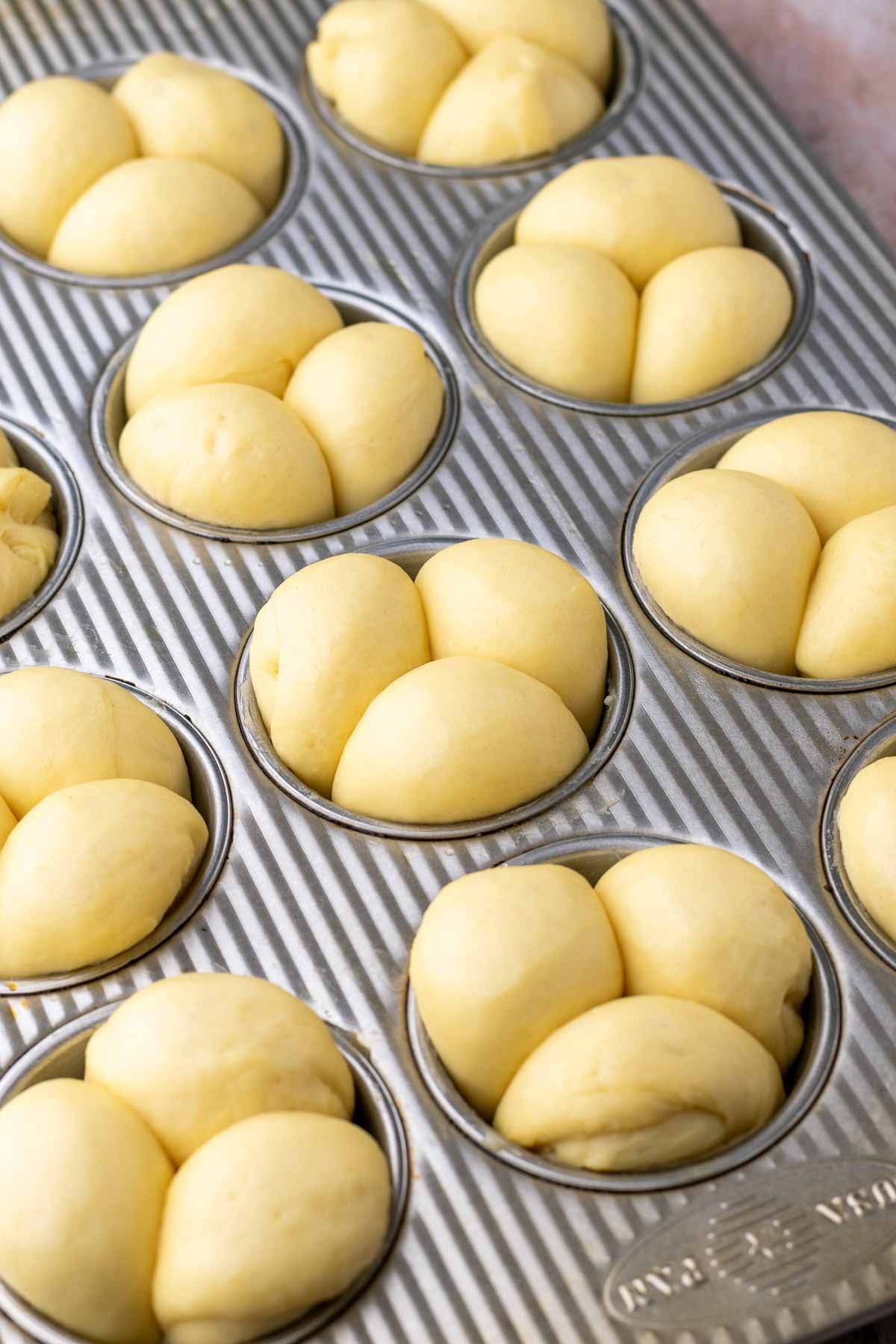 Proofed and puffy cloverleaf sourdough dinner rolls in muffin pan.