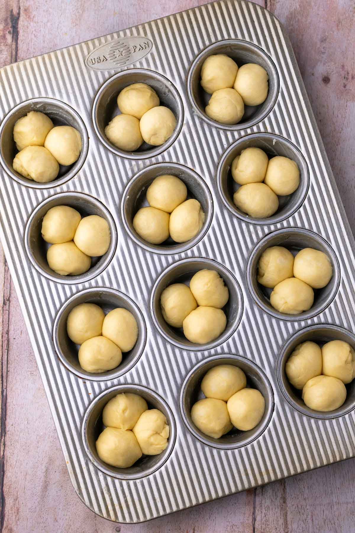 Start of final proof with cloverleaf sourdough dinner rolls in muffin pan.