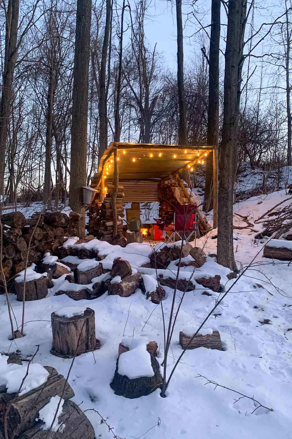 Maple sugar shack in woods at dusk with lights surrounded by trees and logs.