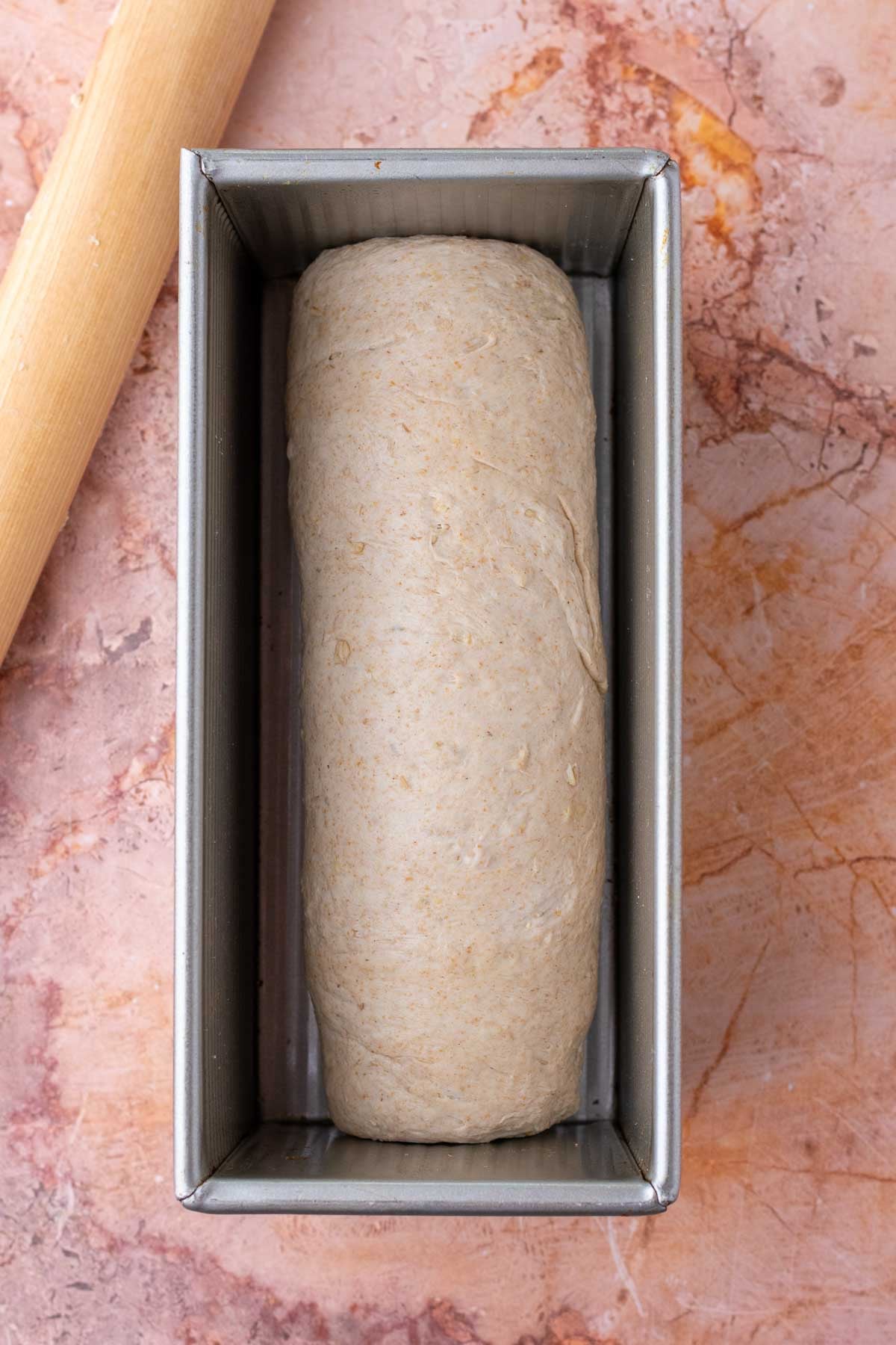 Start of final proof of maple oat sourdough sandwich bread rolled in a bread loaf pan.