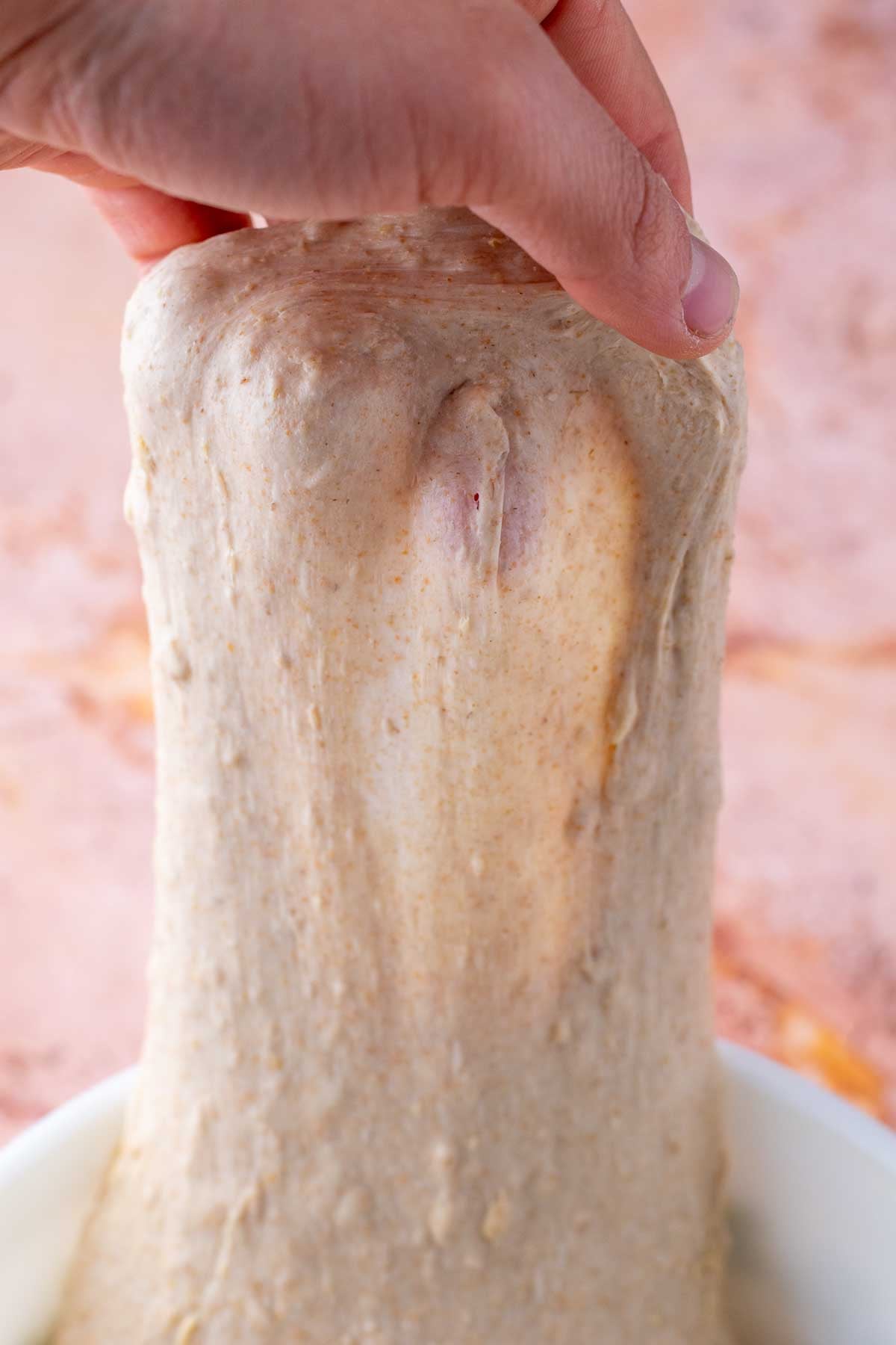 Hand stretching maple oat sourdough sandwich bread in bowl.
