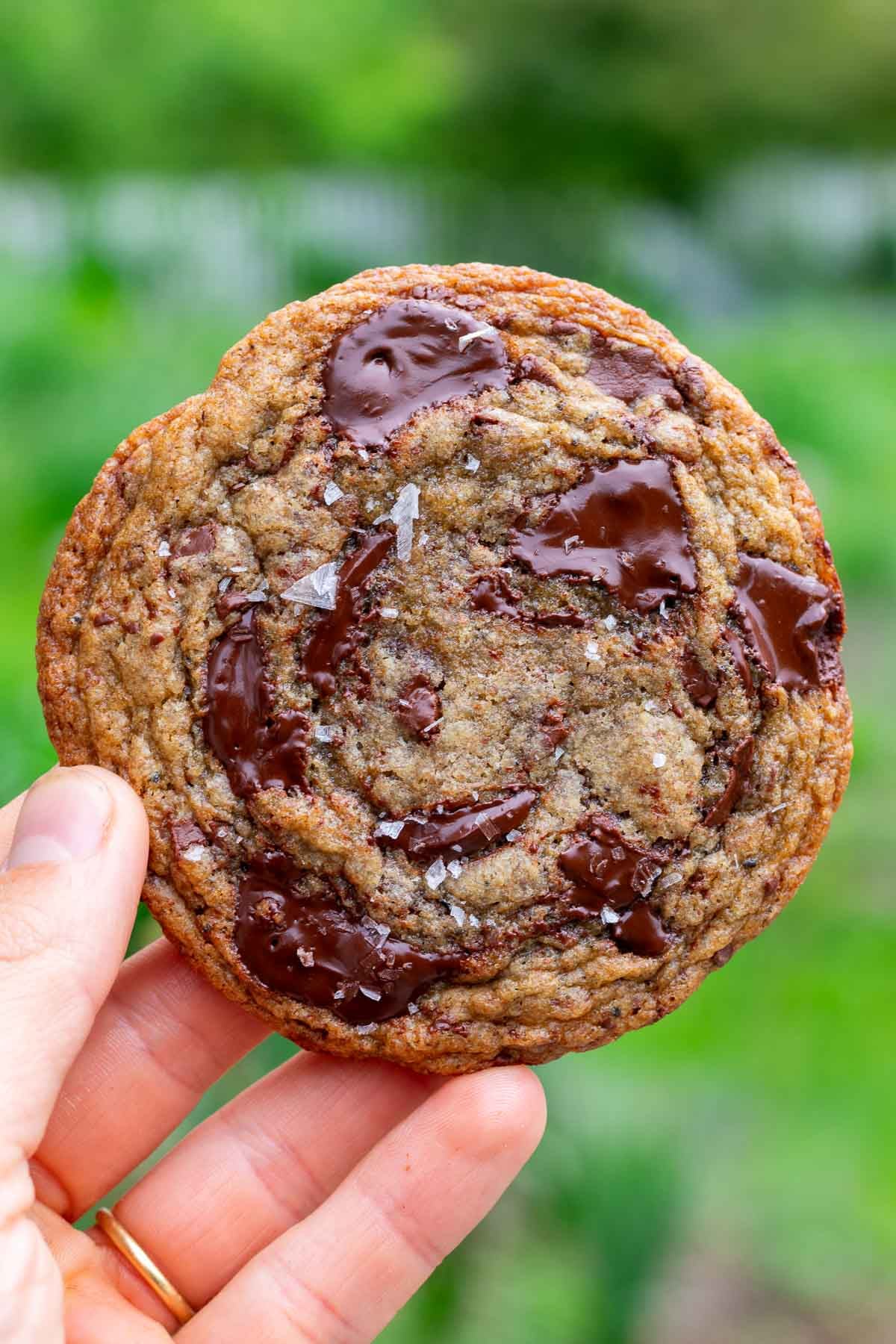 Hand holding a sourdough rye chocolate chip cookie.