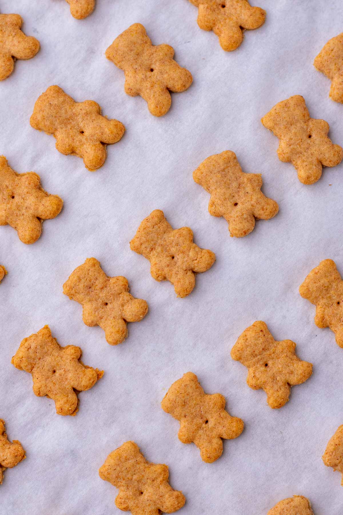 Close up of baked sourdough teddy grahams on a sheet pan.
