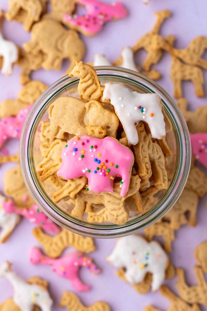 Close up of sourdough animal crackers in a jar with some frosted with pink and white frosting and sprinkles.