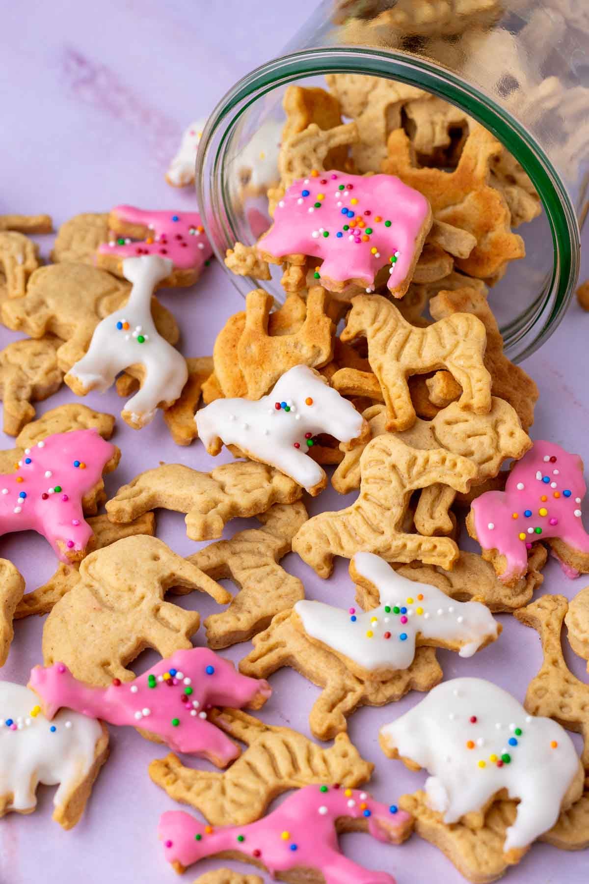 Sourdough animal crackers spilling out of a glass jar, some are frosted with pink and white frosting and sprinkles.