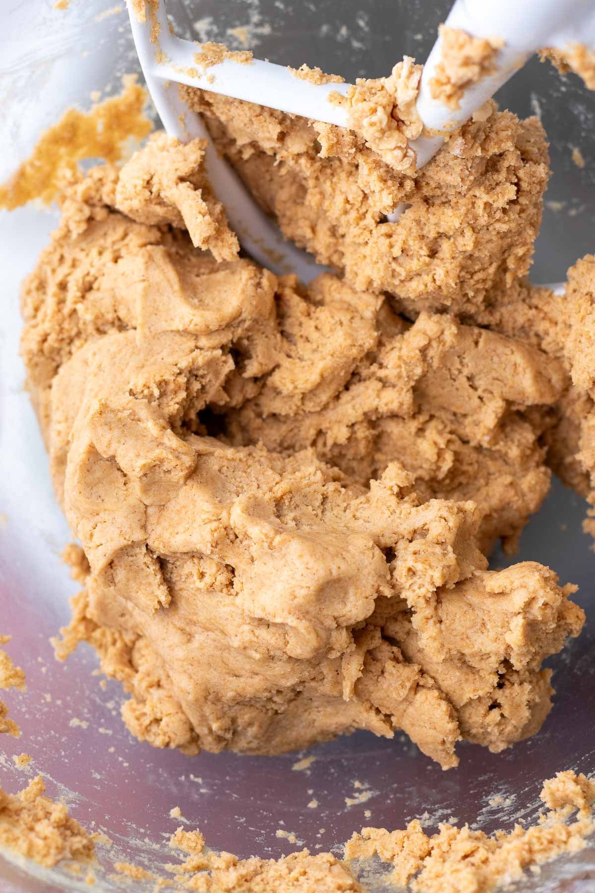 Mixed sourdough teddy graham dough in a stand mixer bowl with a paddle attachment.