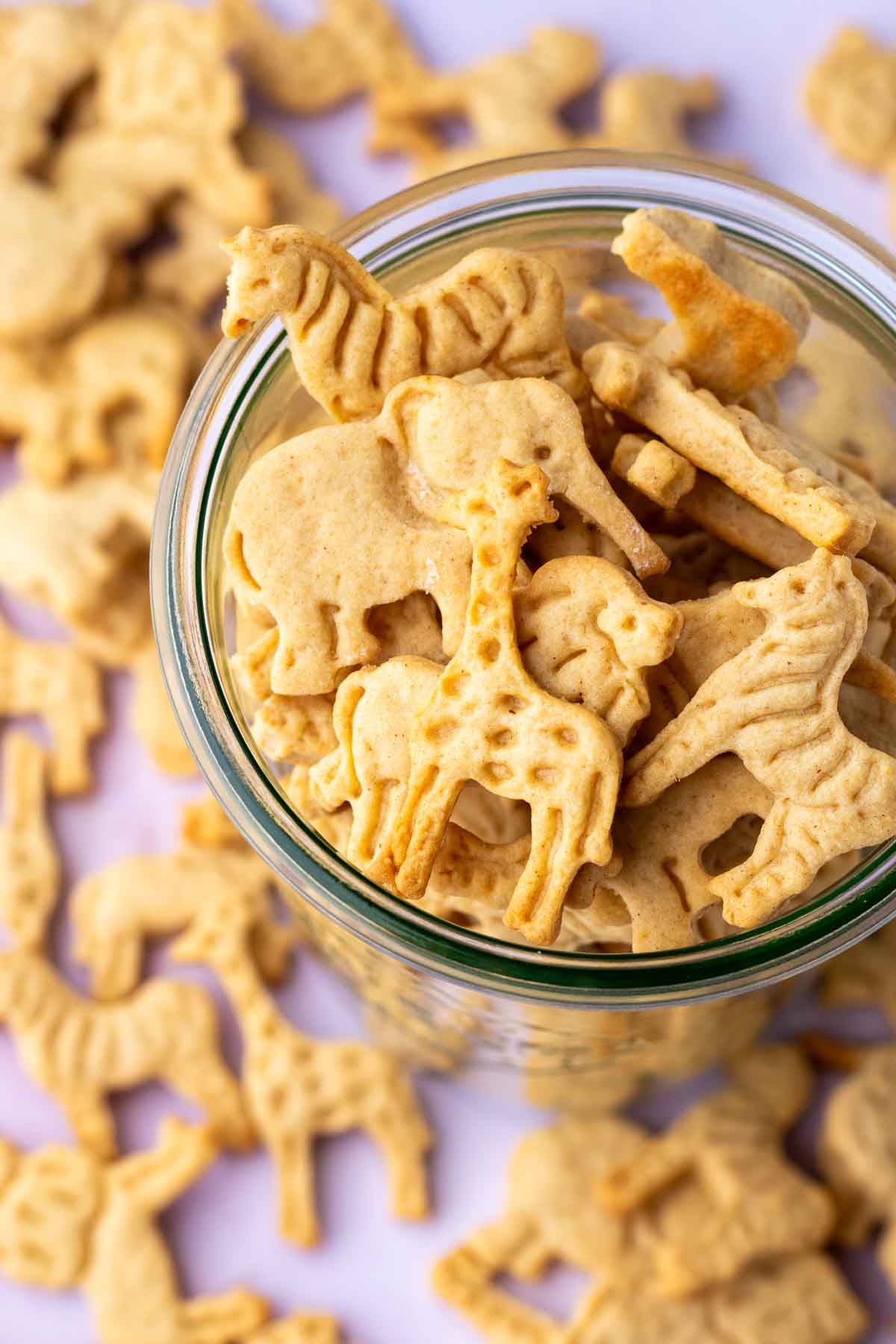 sourdough animal crackers in a glass jar