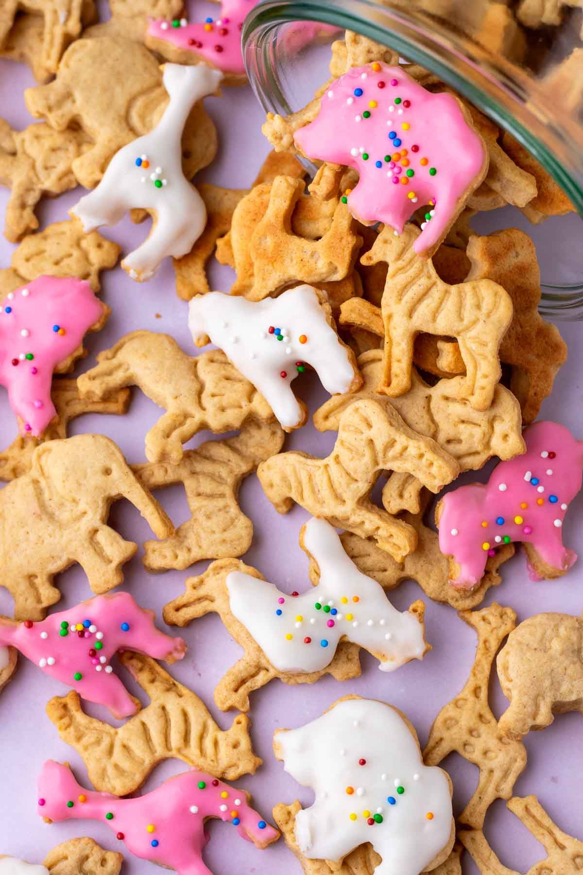 sourdough animal crackers spilling out of a glass jar with some frosted with sprinkles.