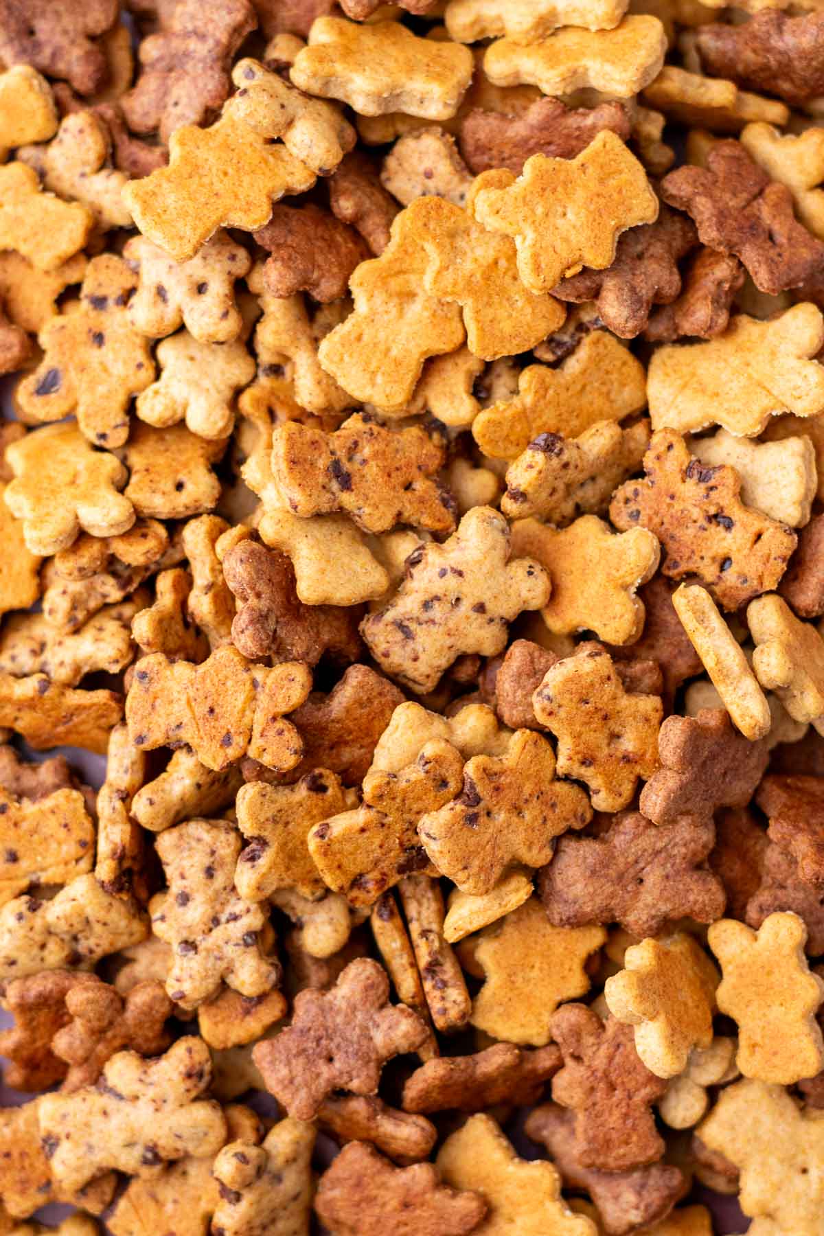Close up of mixed flavors of sourdough teddy grahams, including chocolate, chocolate chip, and cinnamon.