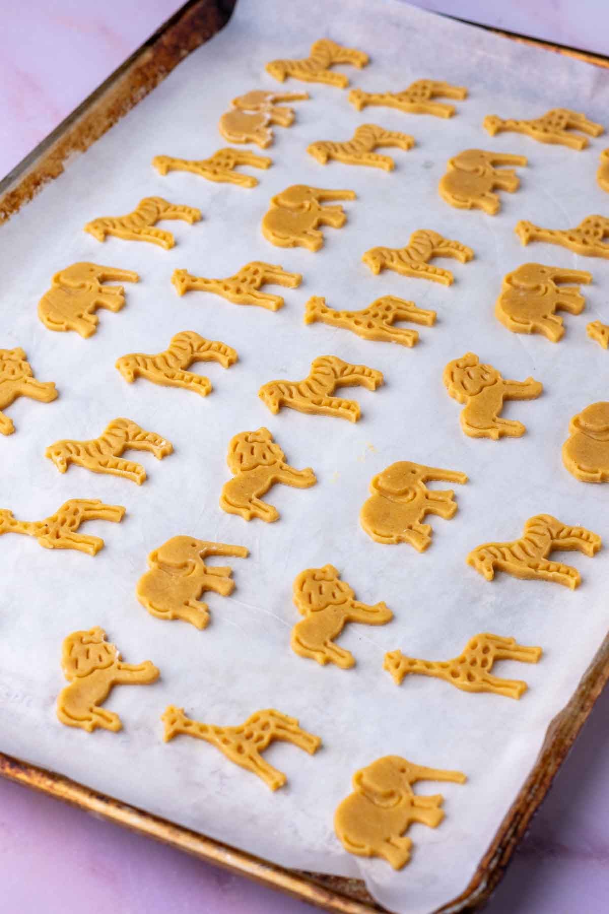Unbaked sourdough animal crackers on a sheet pan.