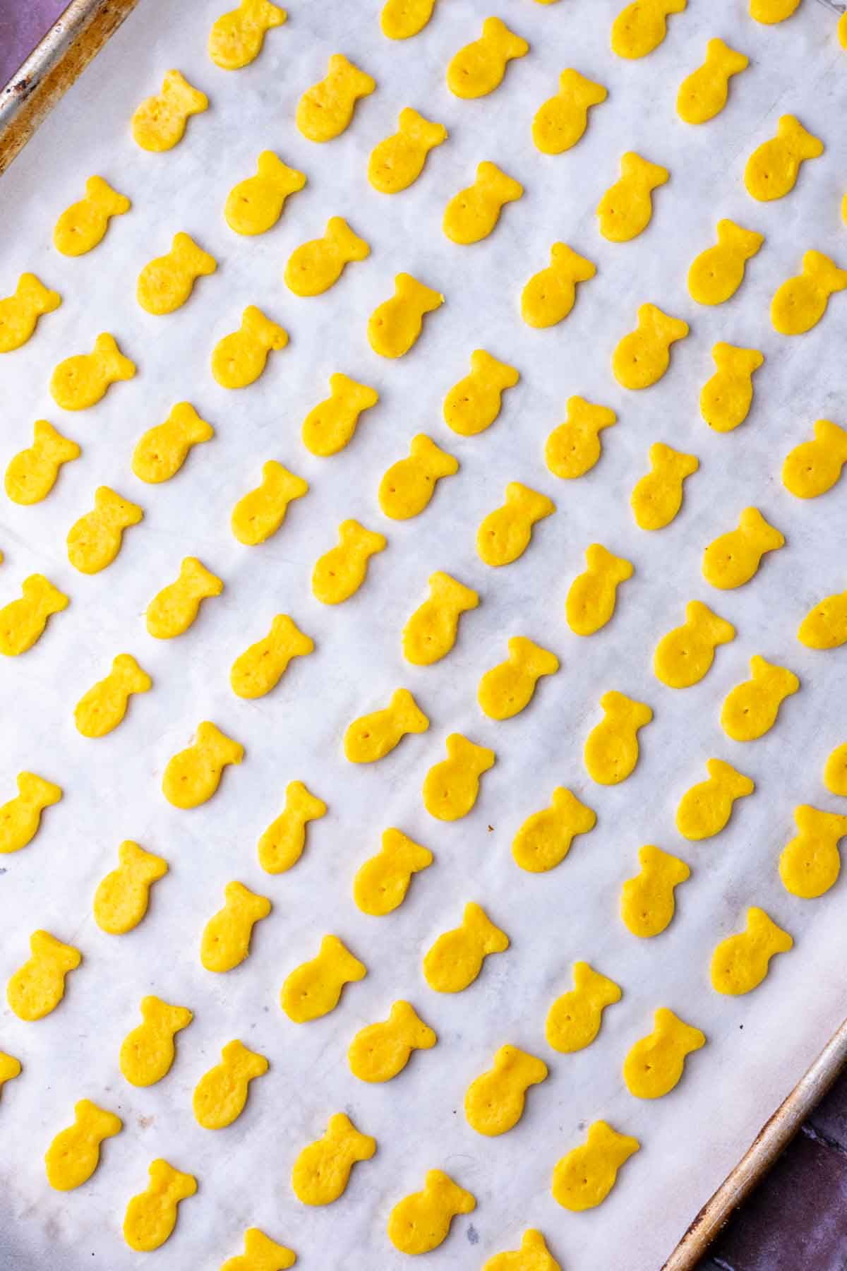 Unbaked sourdough goldfish on a sheet pan.