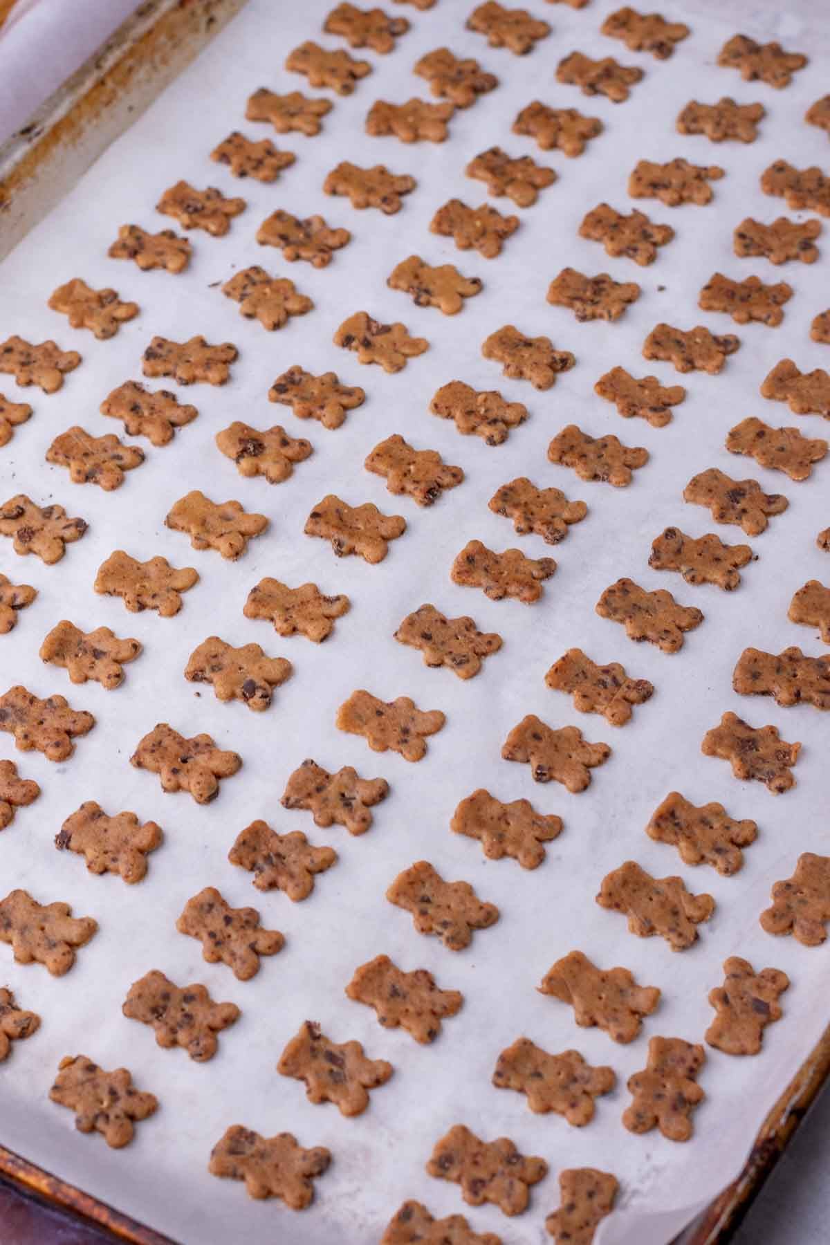 Unbaked sourdough teddy grahams with chocolate chips on a sheet pan lined with parchment paper.