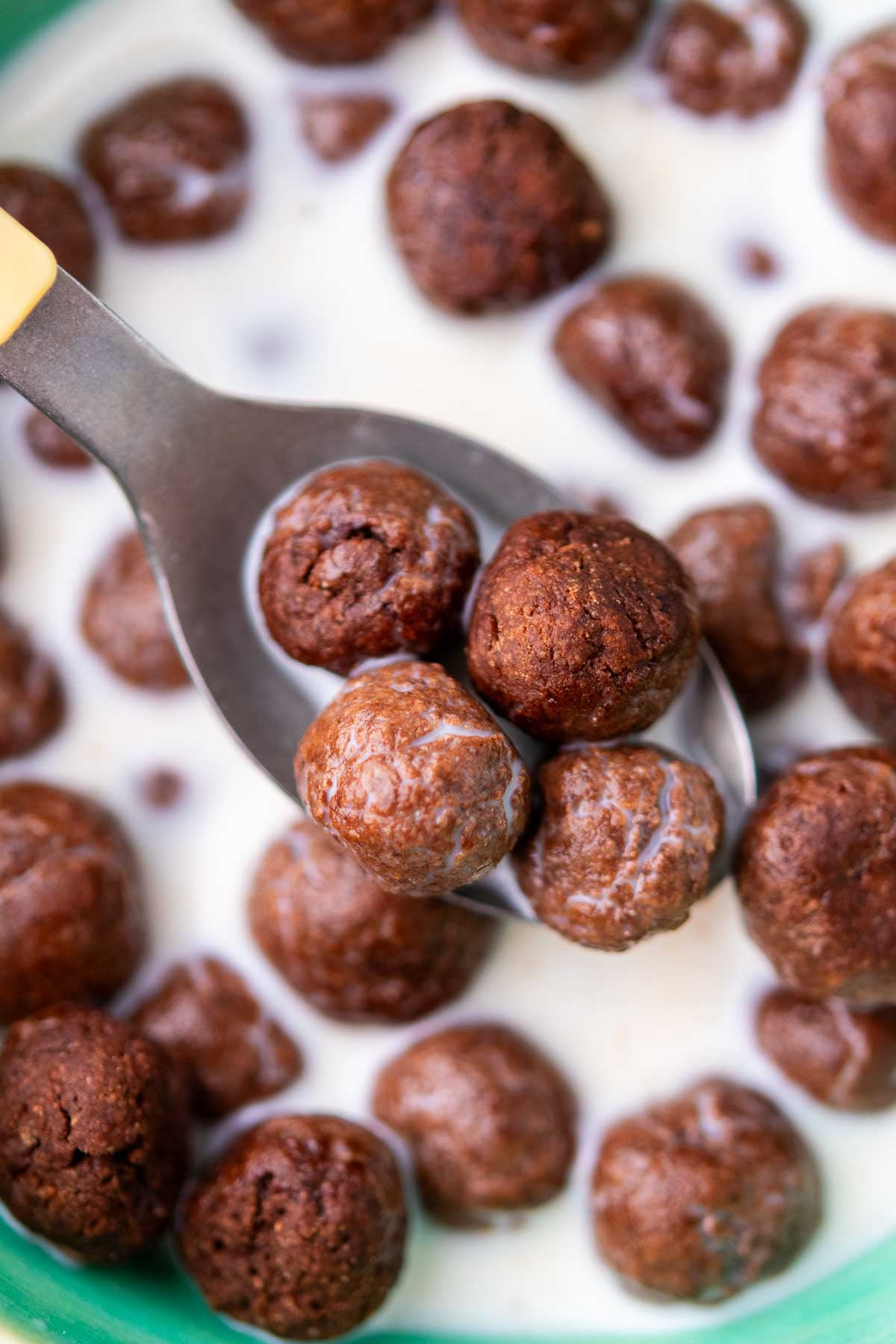 Close up of a spoon holding four sourdough cocoa puffs over a cereal bowl with milk.