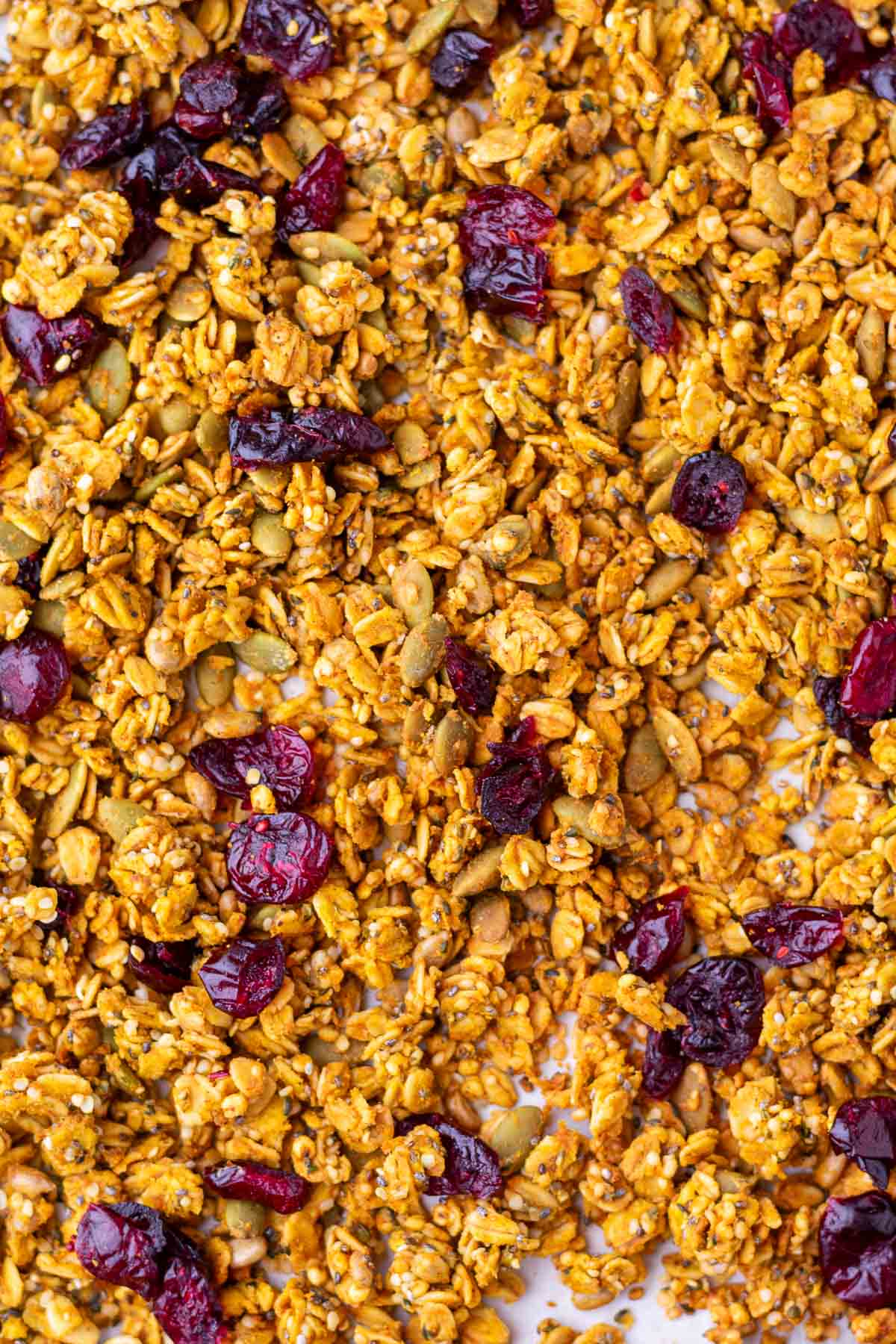 Close up of sourdough pumpkin granola with dried cranberries and pumpkin seeds.
