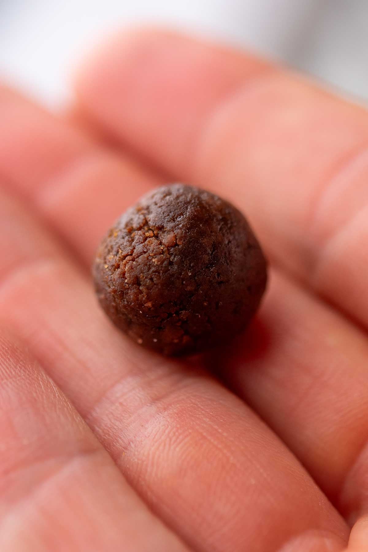 Close up of a hand holding a sourdough cocoa puff.