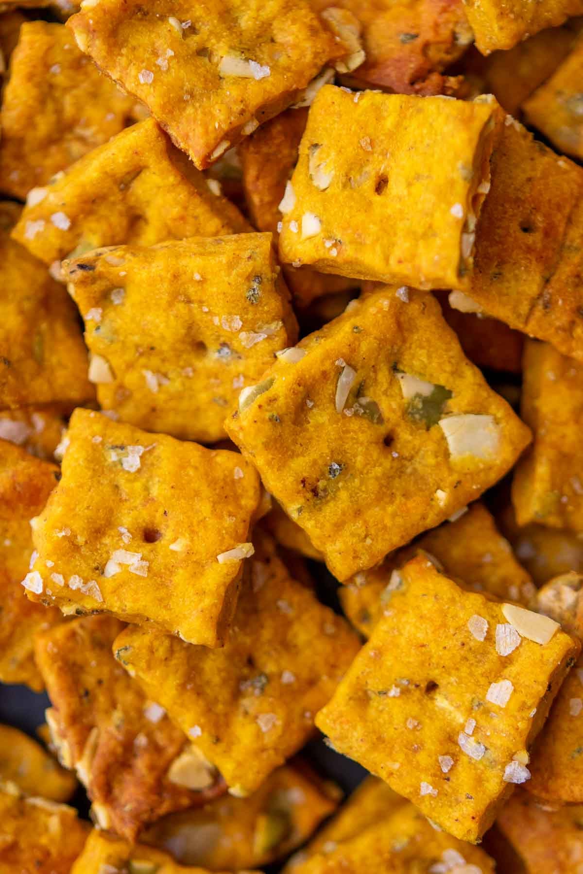 Close up of sourdough pumpkin crackers.