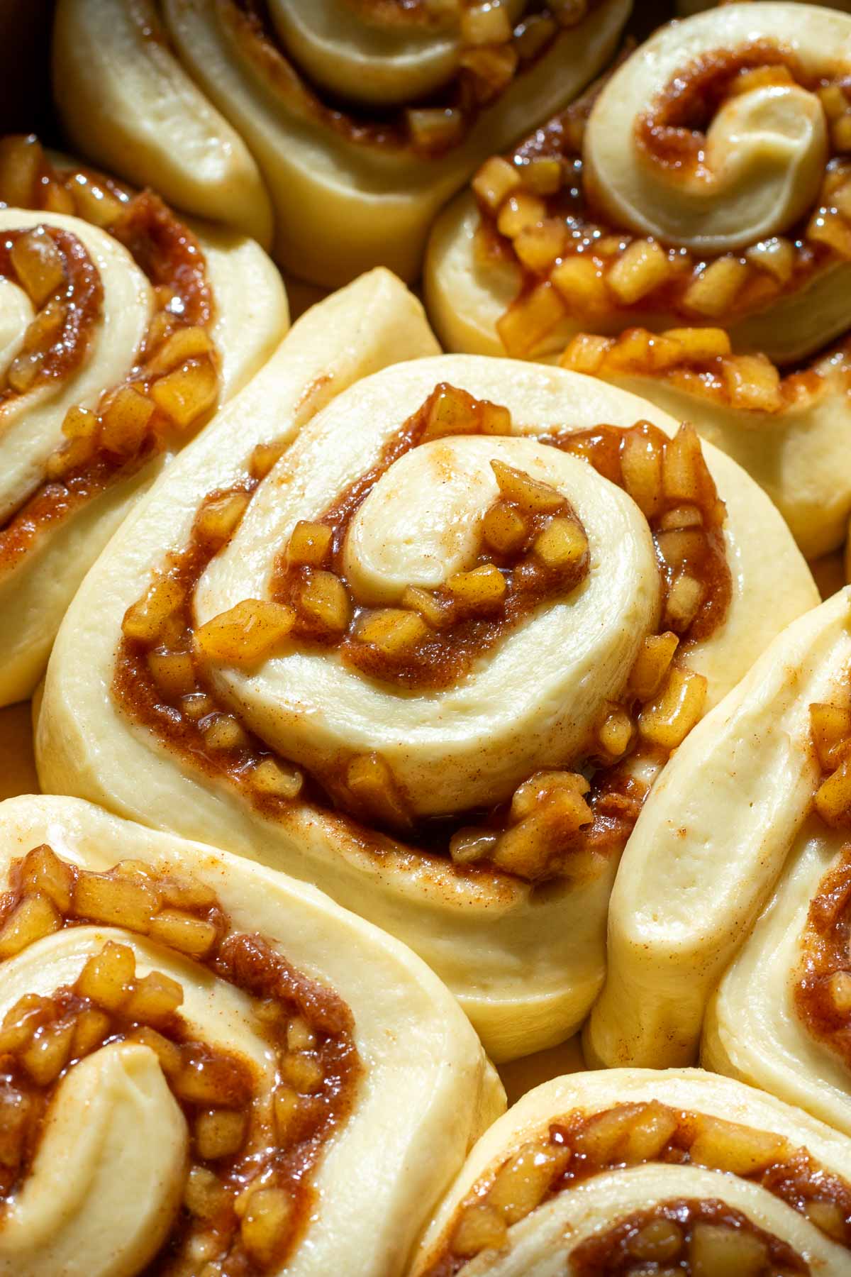 Proofed sourdough apple cinnamon rolls.