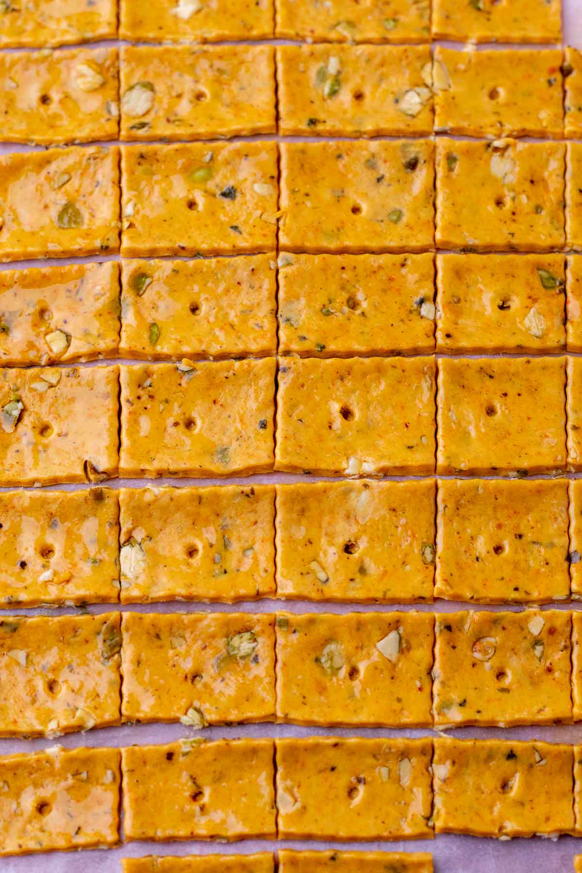 Unbaked sourdough pumpkin crackers.